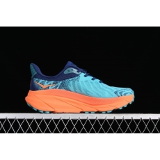 Hoka Shoes